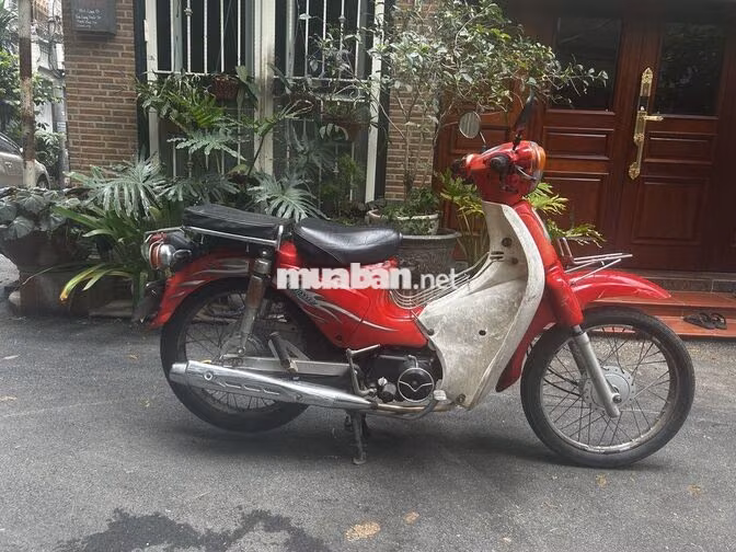 Honda Cub 50cc ko cần bằng lái