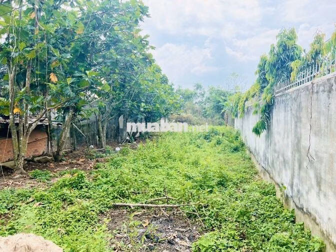 BÁN GẤP 108M2 THỔ CƯ Ở ĐƯỜNG LIÊU BÌNH HƯƠNG GIÁ CHỈ 1 TỶ -SHR