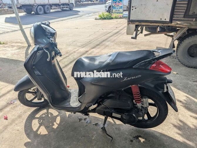 Yamaha Janus 2017 