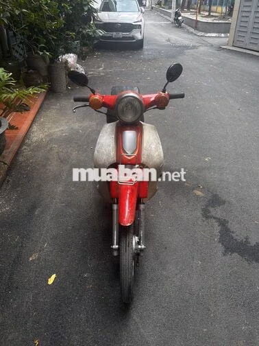 Honda Cub 50cc ko cần bằng lái