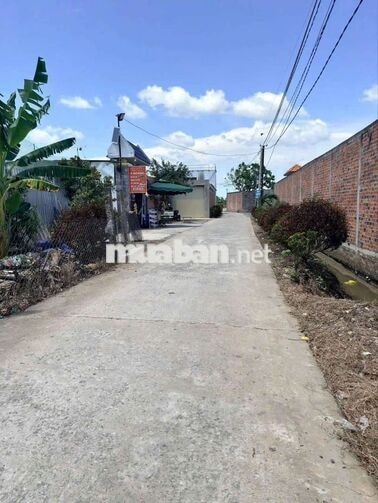 Hàng ngộp, chỉ 1.35 tỷ sở hữu 569m² đất thổ vườn