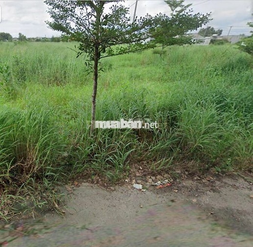 Bán 3 lô đất ngay KCN Giang Điền, đường ô tô thông 1tỷ3/lô SHR