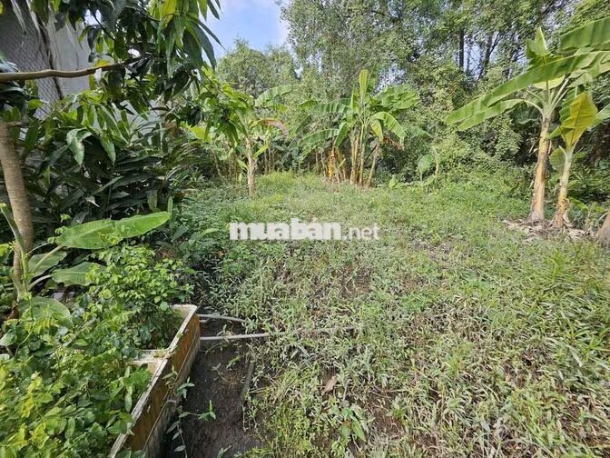 BÁN ĐẤT VƯỜN – ĐƯỜNG NGUYỄN VĂN RÀNG-P.NHÀ BÈ, 136m2 – CHỈ 1,1 TỶ
