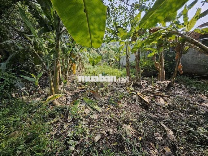 BÁN ĐẤT VƯỜN – ĐƯỜNG NGUYỄN VĂN RÀNG-P.NHÀ BÈ, 136m2 – CHỈ 1,1 TỶ
