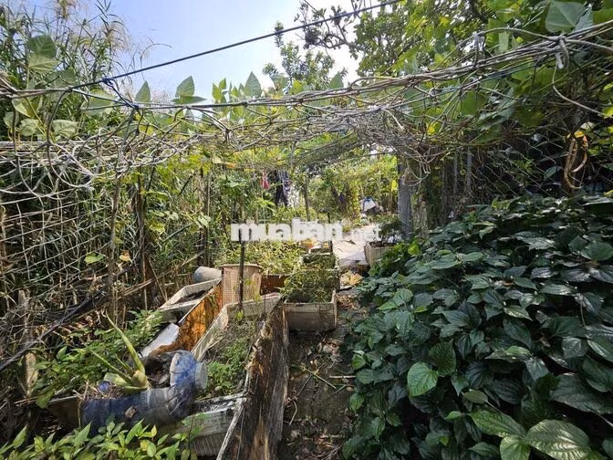BÁN ĐẤT VƯỜN – ĐƯỜNG NGUYỄN VĂN RÀNG-P.NHÀ BÈ, 136m2 – CHỈ 1,1 TỶ