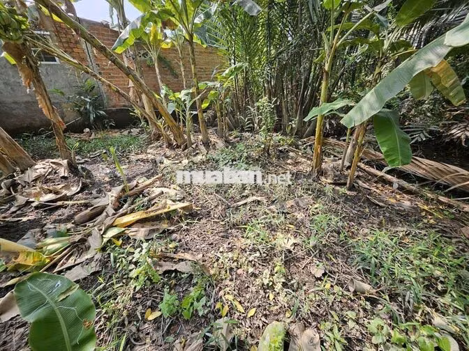 BÁN ĐẤT VƯỜN – ĐƯỜNG NGUYỄN VĂN RÀNG-P.NHÀ BÈ, 136m2 – CHỈ 1,1 TỶ
