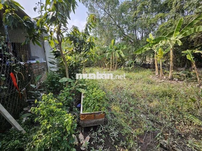 BÁN ĐẤT VƯỜN – ĐƯỜNG NGUYỄN VĂN RÀNG-P.NHÀ BÈ, 136m2 – CHỈ 1,1 TỶ