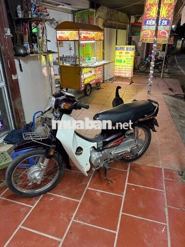 Honda Dream Việt 2013 Tím Trắng