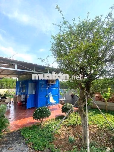 Chủ ngộp xả gấp lô đất vườn 630.9m² xã Trị An, Đồng Nai 520 triệu