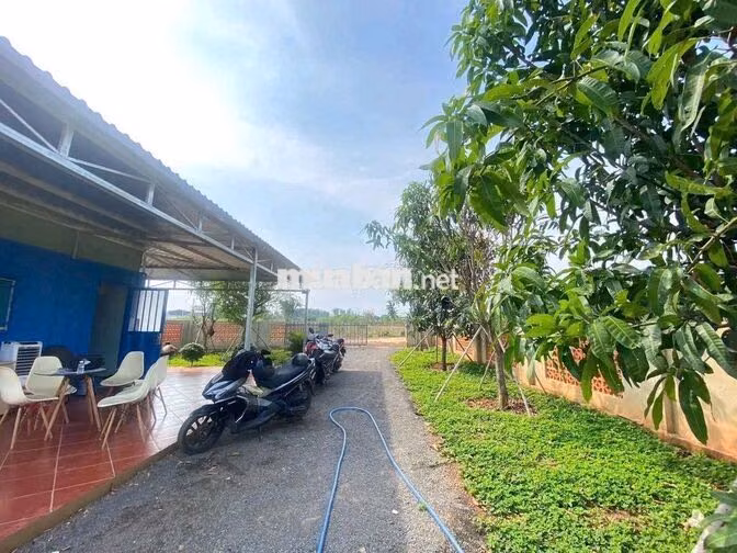 Chủ ngộp xả gấp lô đất vườn 630.9m² xã Trị An, Đồng Nai 520 triệu