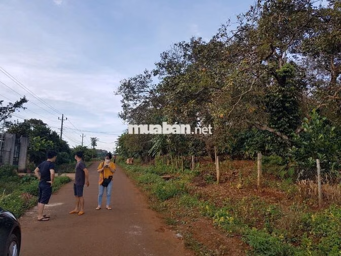 🌿 CHÍNH CHỦ BÁN NHÀ VƯỜN VIEW HỒ ĐẮK R’KRU 2 – ĐƯỜNG 12M – CHỈ 950TR