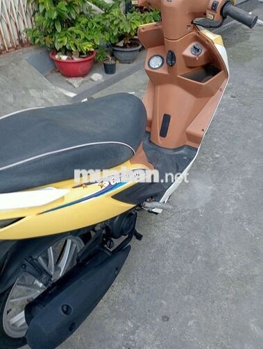 Candy 50cc Vàng