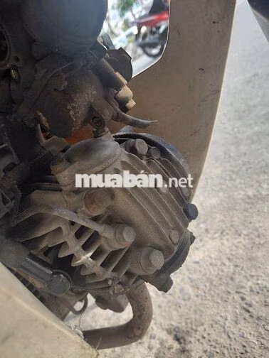 Kawasaki Max II Tím Xe nhật