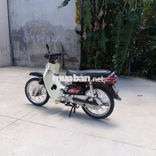 Honda Dream Nâu, Trắng