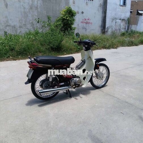 Honda Dream Nâu, Trắng