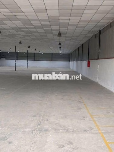 Cần cho thuê kho xưởng mới tinh Thạnh Lộc Q12 DT 1500m giá 85 triệu TL