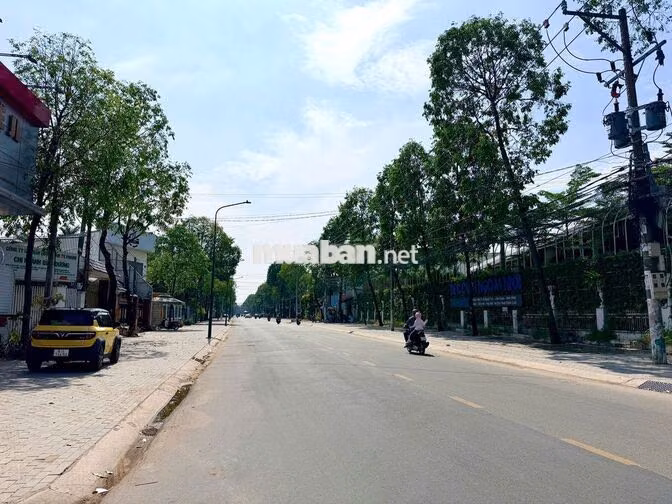 Cho thuê mặt bằng 1.000m² đường Nguyễn Tri Phương, Thủ Dầu Một
