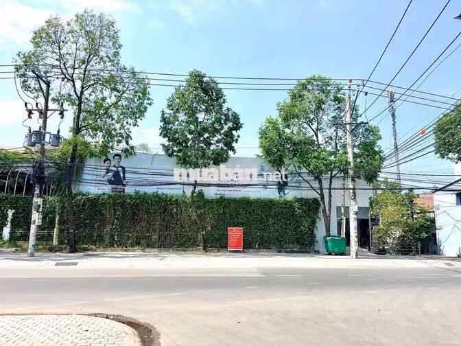 Cho thuê mặt bằng 1.000m² đường Nguyễn Tri Phương, Thủ Dầu Một