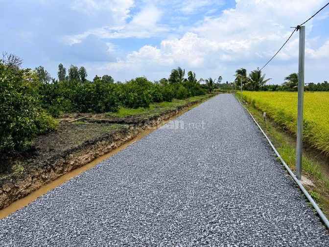 Bán 15 Lô Đất Bến Lức Long An ,giá siêu rẻ 350tr/1lô 500m2 (14mx27m) 