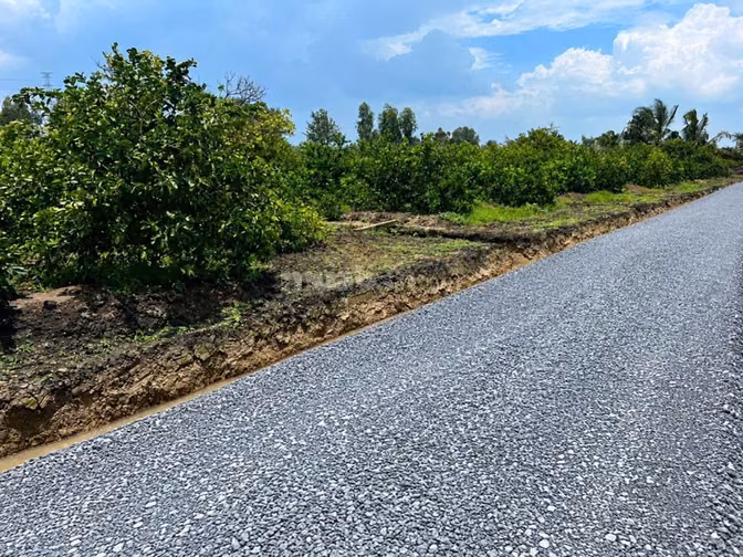 Bán 15 Lô Đất Bến Lức Long An ,giá siêu rẻ 350tr/1lô 500m2 (14mx27m) 