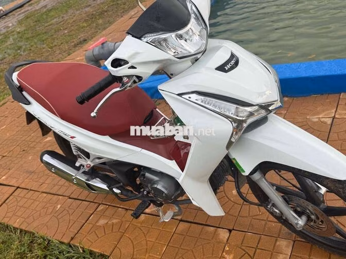 Honda Wave i 2021 Trắng, Đỏ