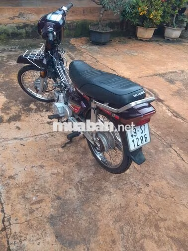 Honda Dream Tím Xe số