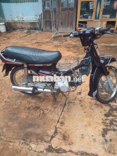 Honda Dream Tím Xe số
