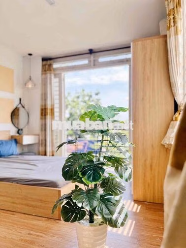 🔥Căn Hộ Stuido - Ban Công - Full NT - Nằm Gần ĐH : Văn lang 3