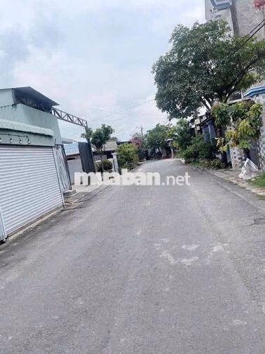 Bán đất 5.3x39m, nở hậu 6.8m, Nguyễn Thị Ngâu, TTT, Hốc Môn