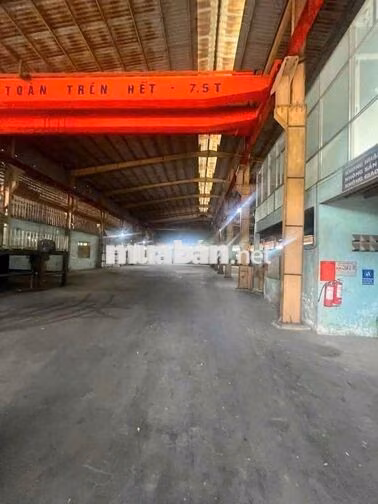 xưởng 1300m giá 75 triệu Đức Hòa Long An