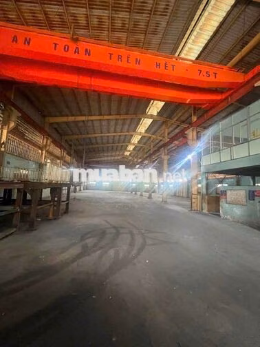 xưởng 1300m giá 75 triệu Đức Hòa Long An