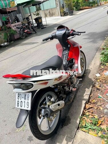 bán yaz giấy rin có gốc giá rẻ