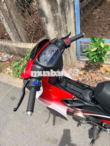 bán yaz giấy rin có gốc giá rẻ