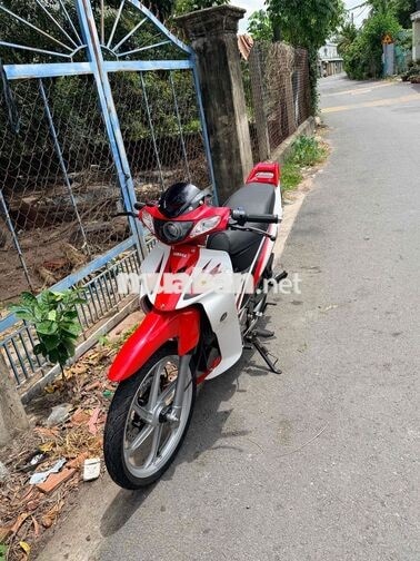 bán yaz giấy rin có gốc giá rẻ