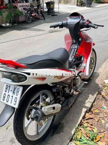 bán yaz giấy rin có gốc giá rẻ