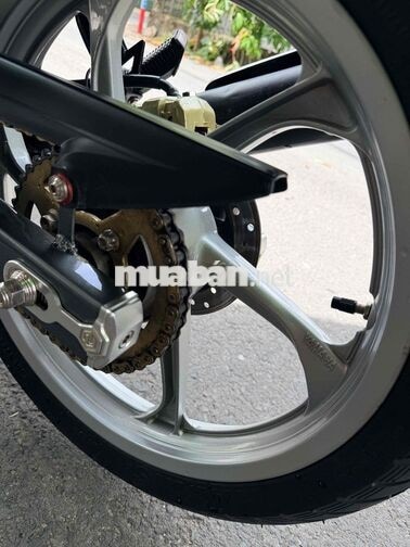 bán yaz giấy rin có gốc giá rẻ