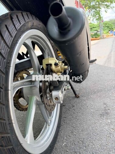 bán yaz giấy rin có gốc giá rẻ