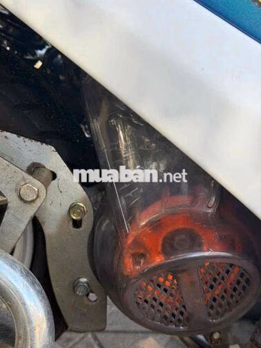 Honda Dio Xe tay ga Xanh, Trắng