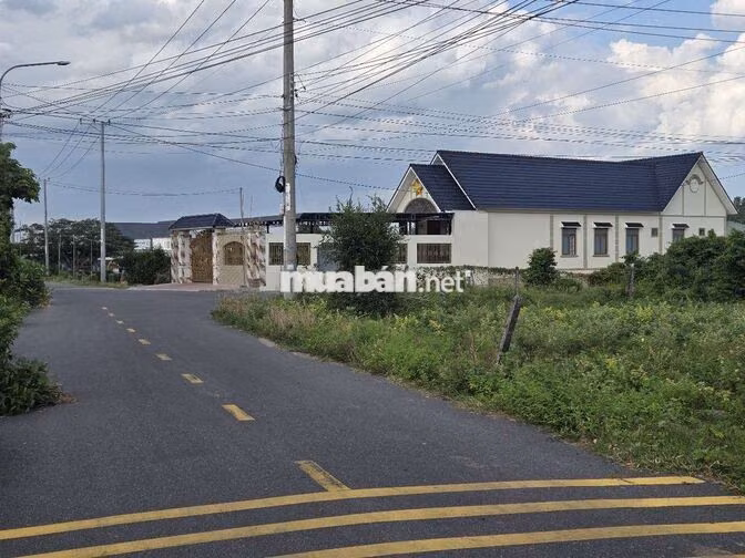 LÔ ĐẸP 330M² VƯỜN NHÃN CÁCH BIỂN PHƯỚC HẢI2KM