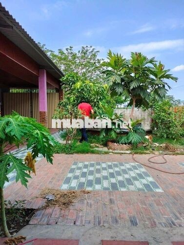 Nhà vườn Gỗ Góc 2 MT đối diện công viên.Thông Khu Công Nghiepy