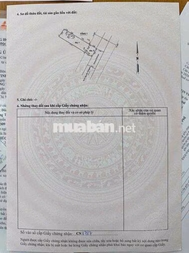 Bán lô đất 5x22m, Mt Trung Đông 10, Ng Thị Ngâu, TTT, Hốc Môn
