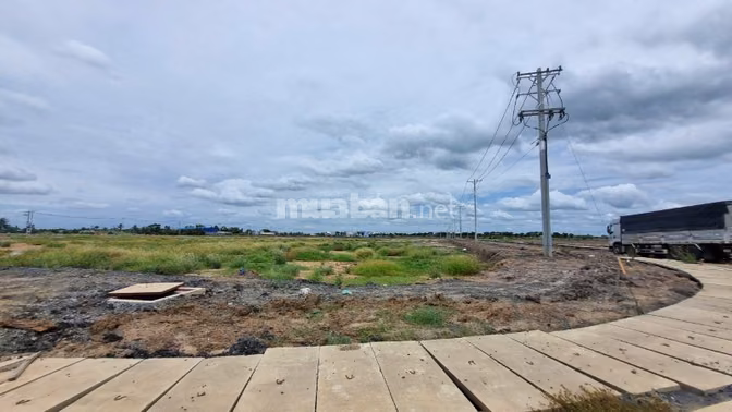 Bán 10.000m² Đất KCN Thủ Thừa Long An - Giá 145 USD/m²