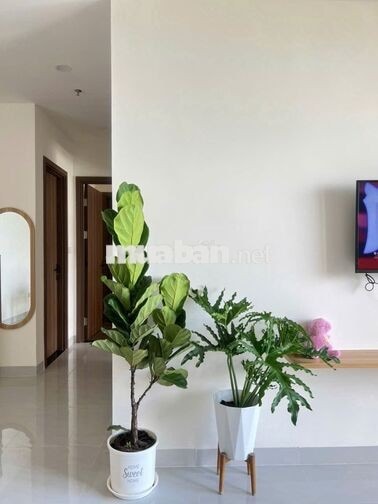 CHO THUÊ ~1PN-1WC~ CÓ MÁY LẠNH 5TR5