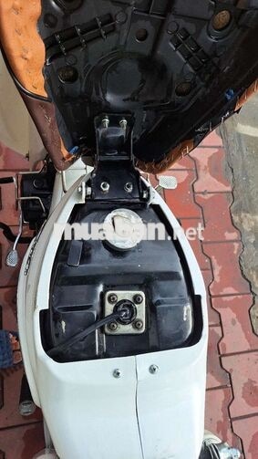Honda Cup 50cc 2022 Trắng