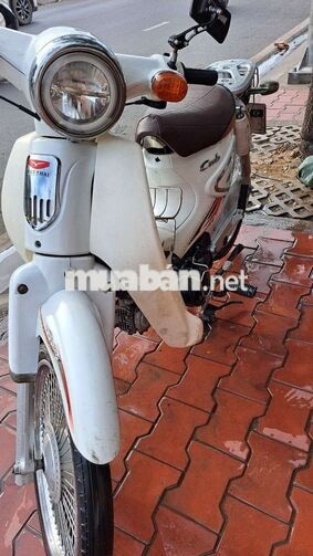 Honda Cup 50cc 2022 Trắng