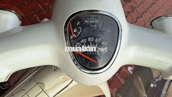 Honda Cup 50cc 2022 Trắng