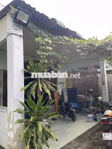 nhà cấp 4- đất 121 m thỏi cư 100%