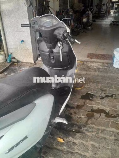 Honda Lead SCR Trắng Xe tay ga