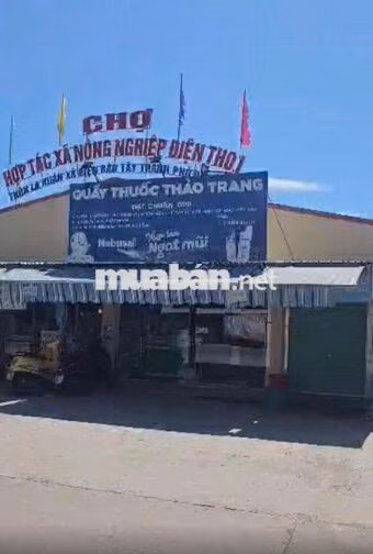 CẦN BÁN NHANH ĐẤT, X. Điện Thọ, H. Điện Bàn, T. Quảng Nam (cũ)