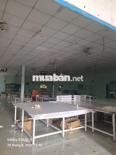 xưởng 1.000m² giá 70tr có pccc bà điểm hóc môn